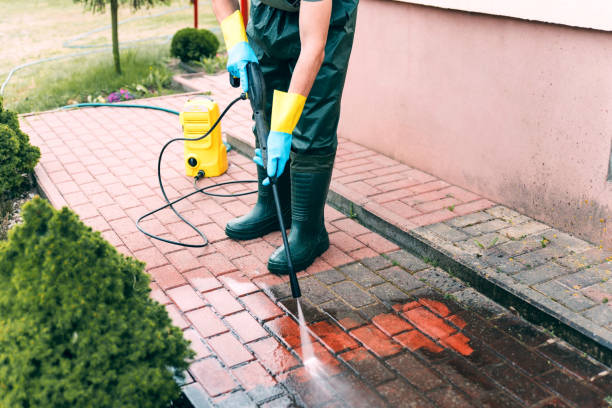 Animal Enclosure Cleaning in Livingston, MT