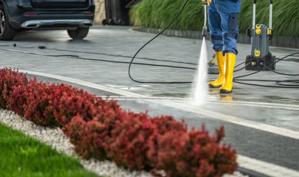 Best Driveway Pressure Washing  in Livingston, MT